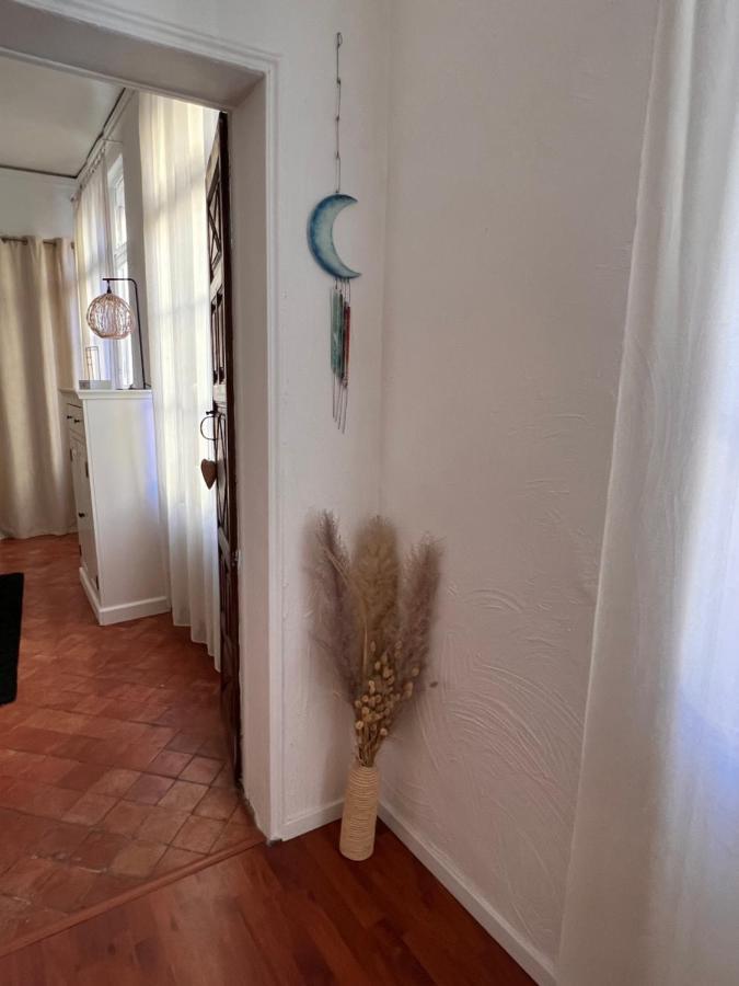 Perpignan Appartement En Plein Centre Historique Kültér fotó